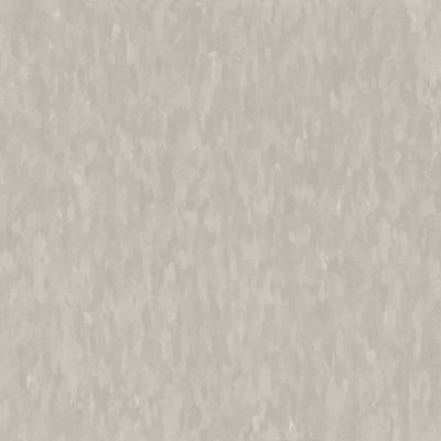 Armstrong Migrations T3503 Ashen Gray 12" x 12" Bio-Based Tile (45 SF/Box) (Warehouse #2, #4, #6)